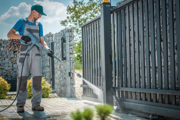Best Soft Washing  in North Pearsall, TX