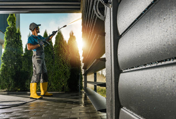 Best Building Exterior Washing  in North Pearsall, TX