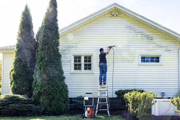 Best Patio and Deck Pressure Washing  in North Pearsall, TX